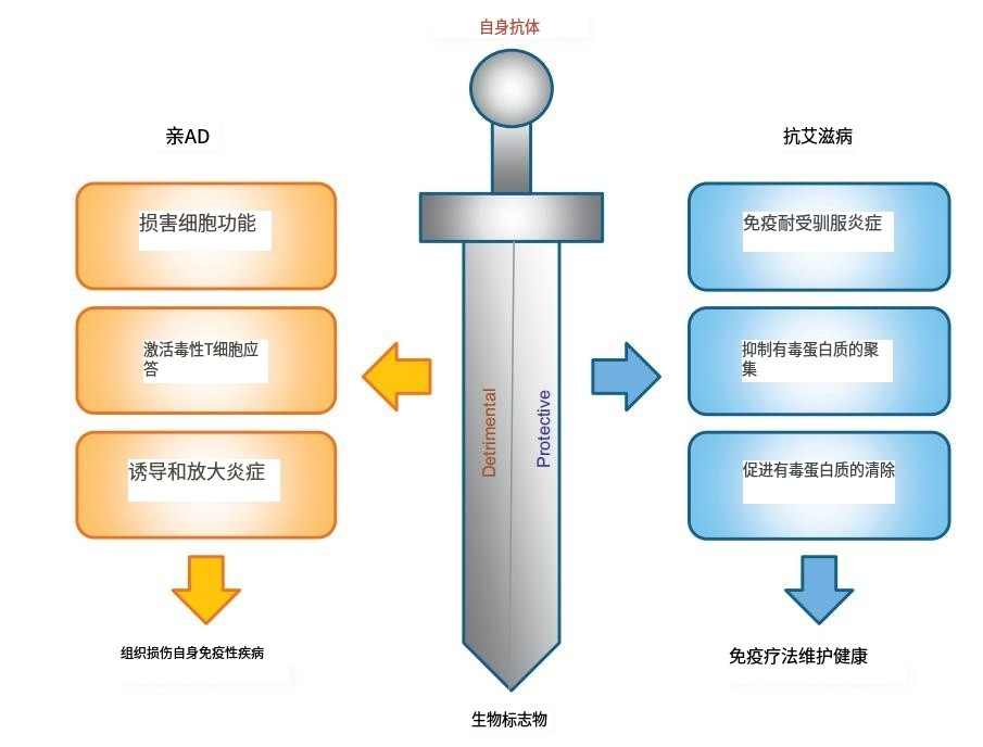 1690354172209124.png 1690354172209124.png