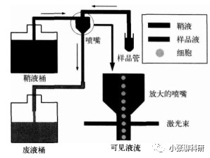 1690868348479200.jpeg 1690868348479200.jpeg