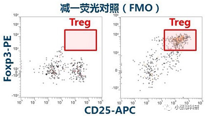 1690868826791803.jpeg 1690868826791803.jpeg