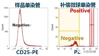 1690868832255339.jpeg 1690868832255339.jpeg