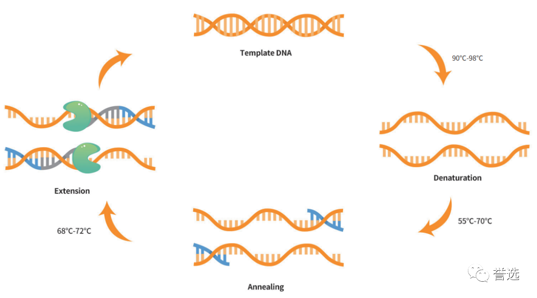 1700532679329694.png 1.png