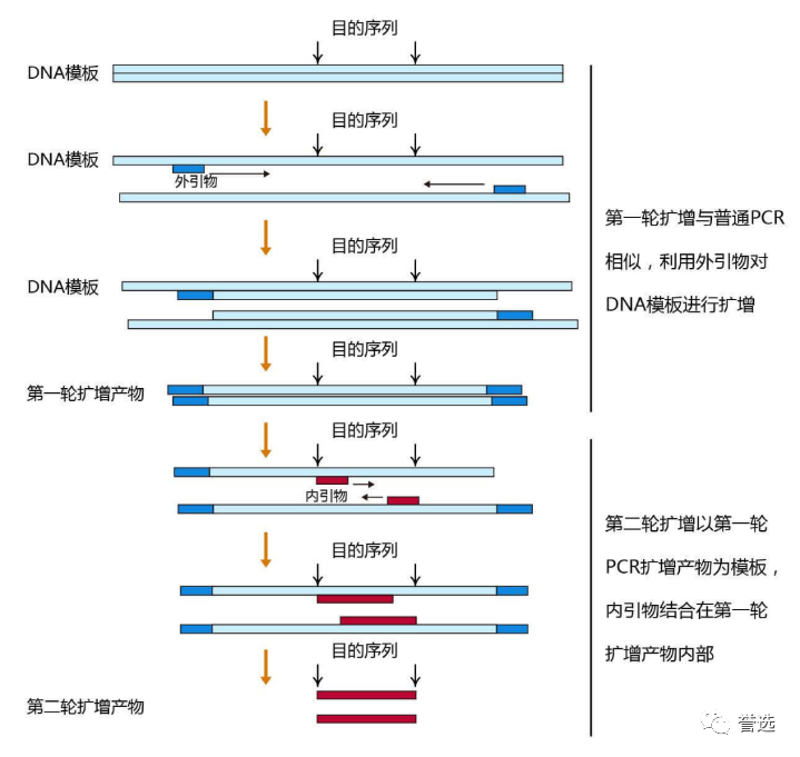 1700532730919219.png 3.png