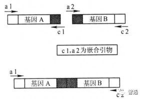 1700532768318917.png 5.png