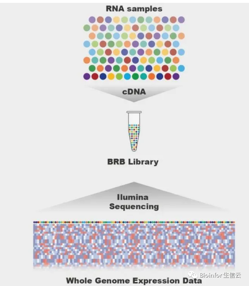 1700534104819124.png 1.png