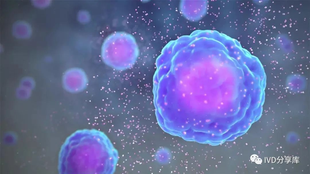 1702523731116254.jpeg 1.jpeg