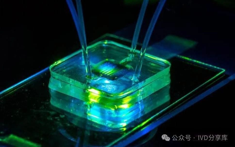 1705906823932882.jpeg 1.jpeg