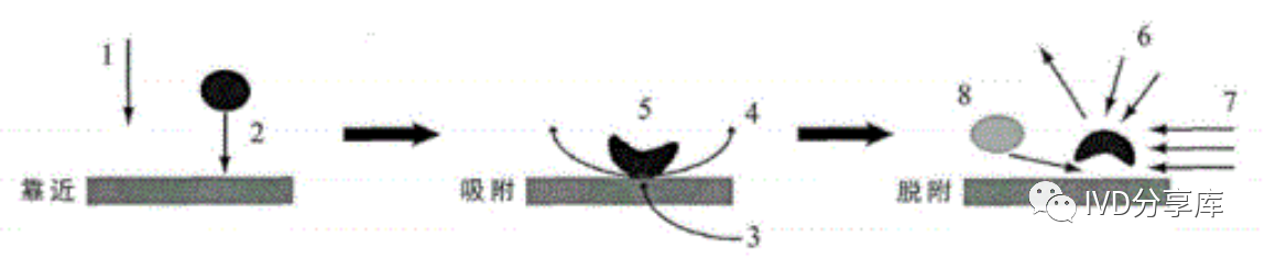 1705907013221221.png 4.png