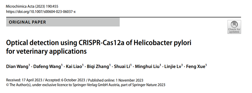 1709110684366541.png 1.png