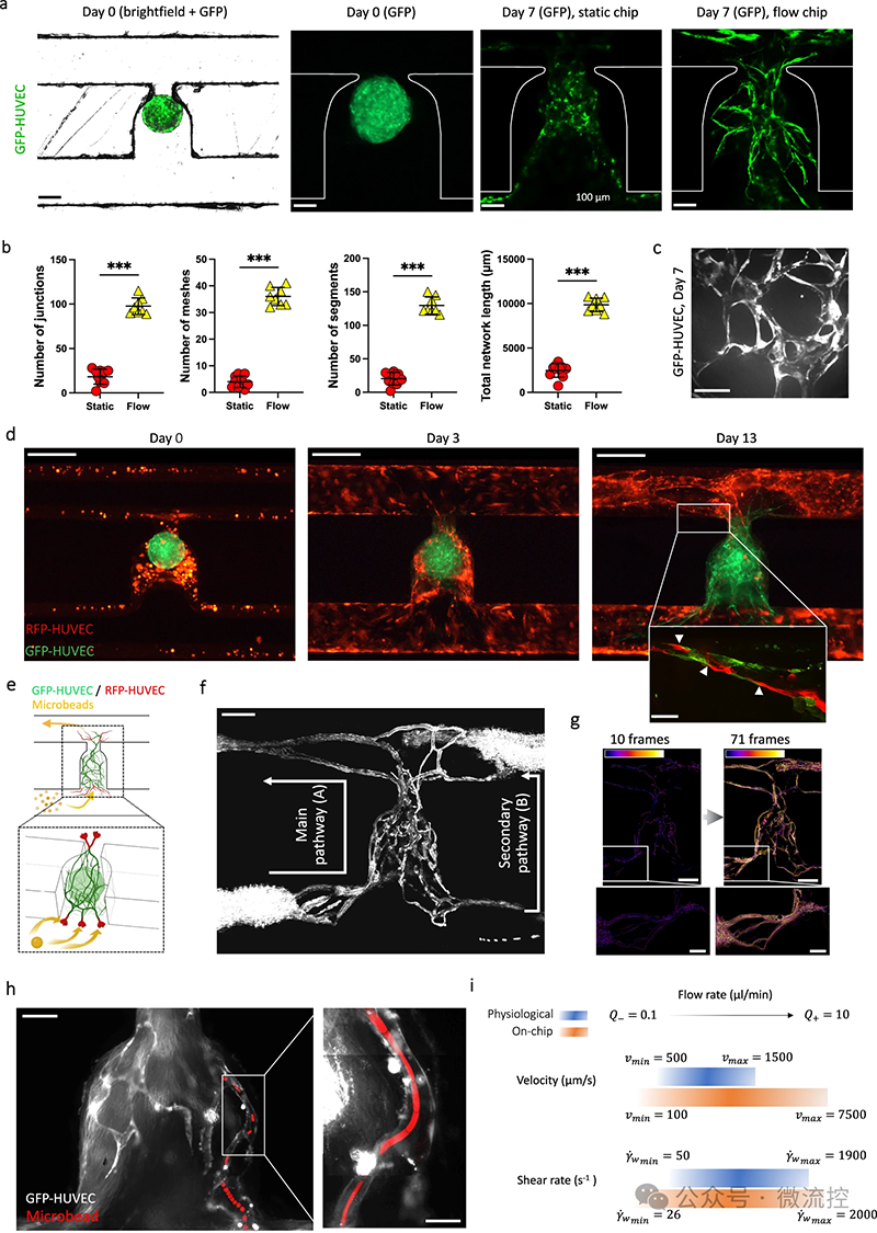 1710145802977407.png 1.png