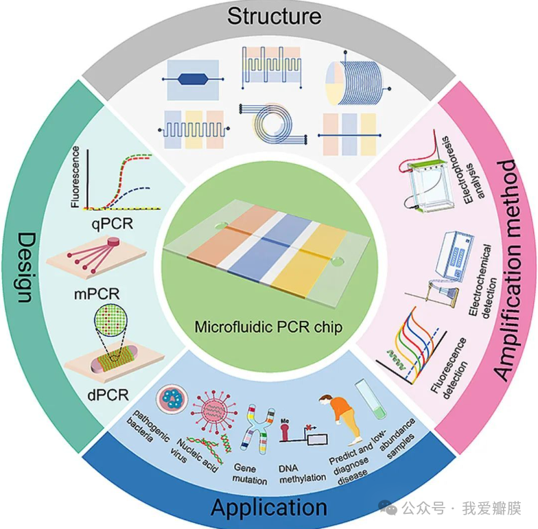 1711436347399429.png 1.png