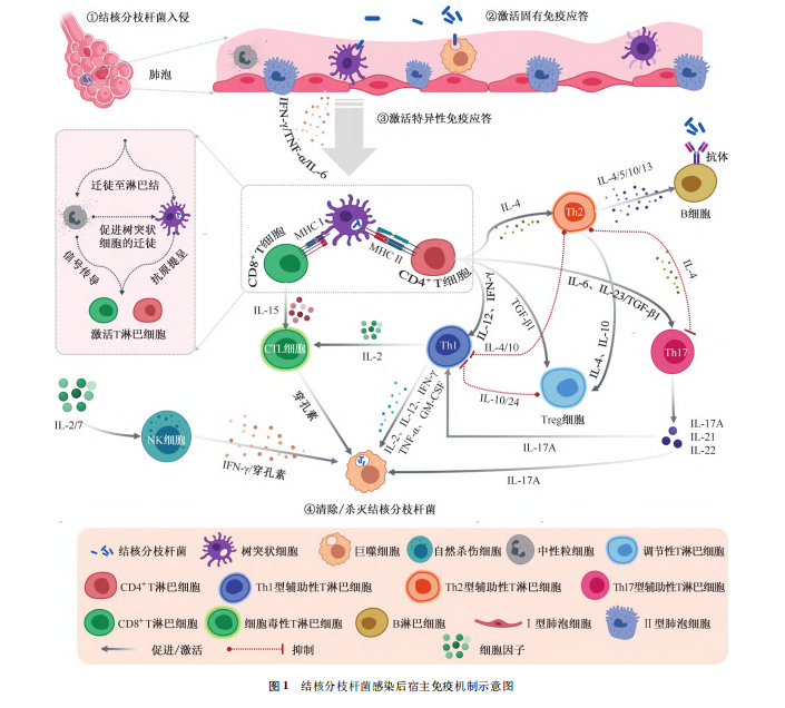 1712557959783613.png 4.png