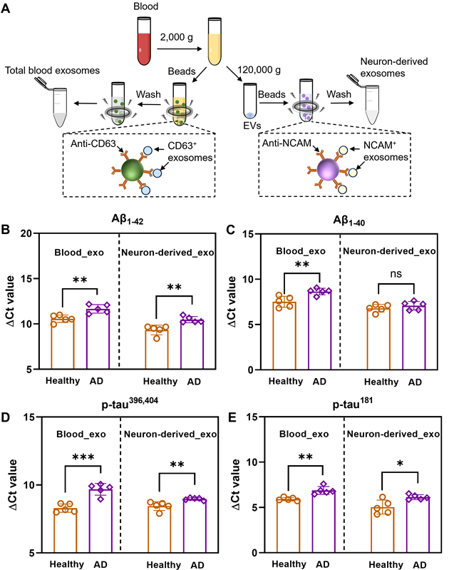 1712559634411378.png 3.png