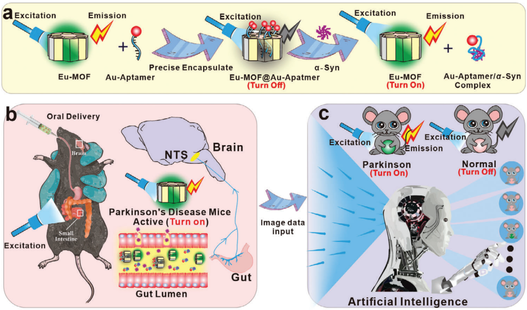 1713948781255909.png 1.png