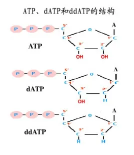 1716195741827677.jpg 3.jpg
