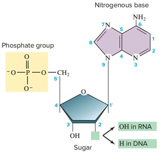 1716196581995571.jpg 7.jpg