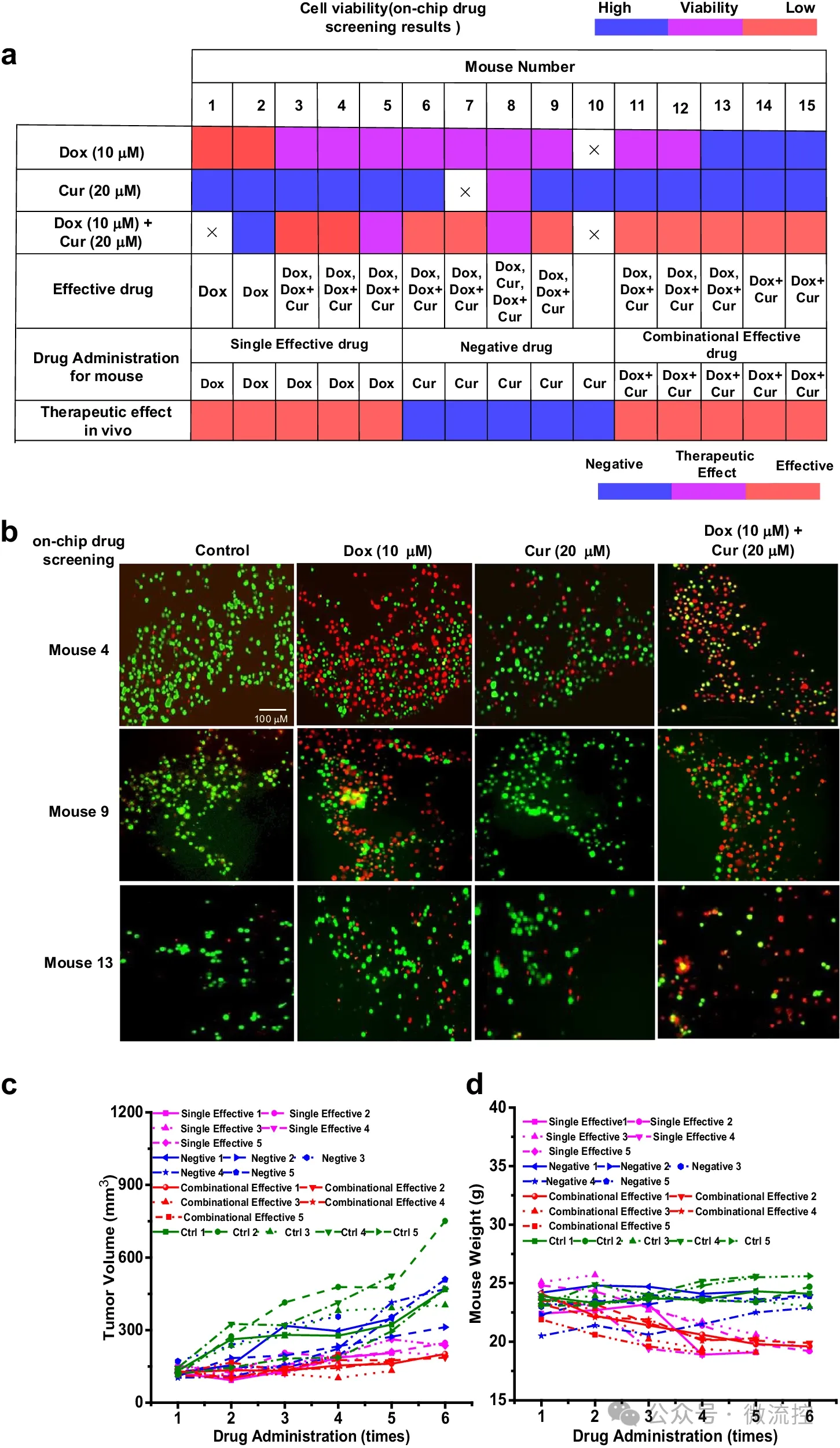 1717133674373738.jpg 2.jpg