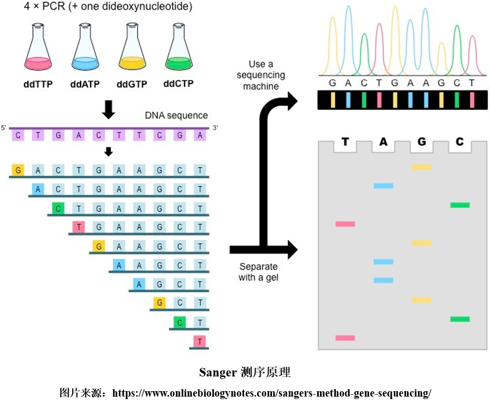 1717140098763736.png 1717140098763736.png