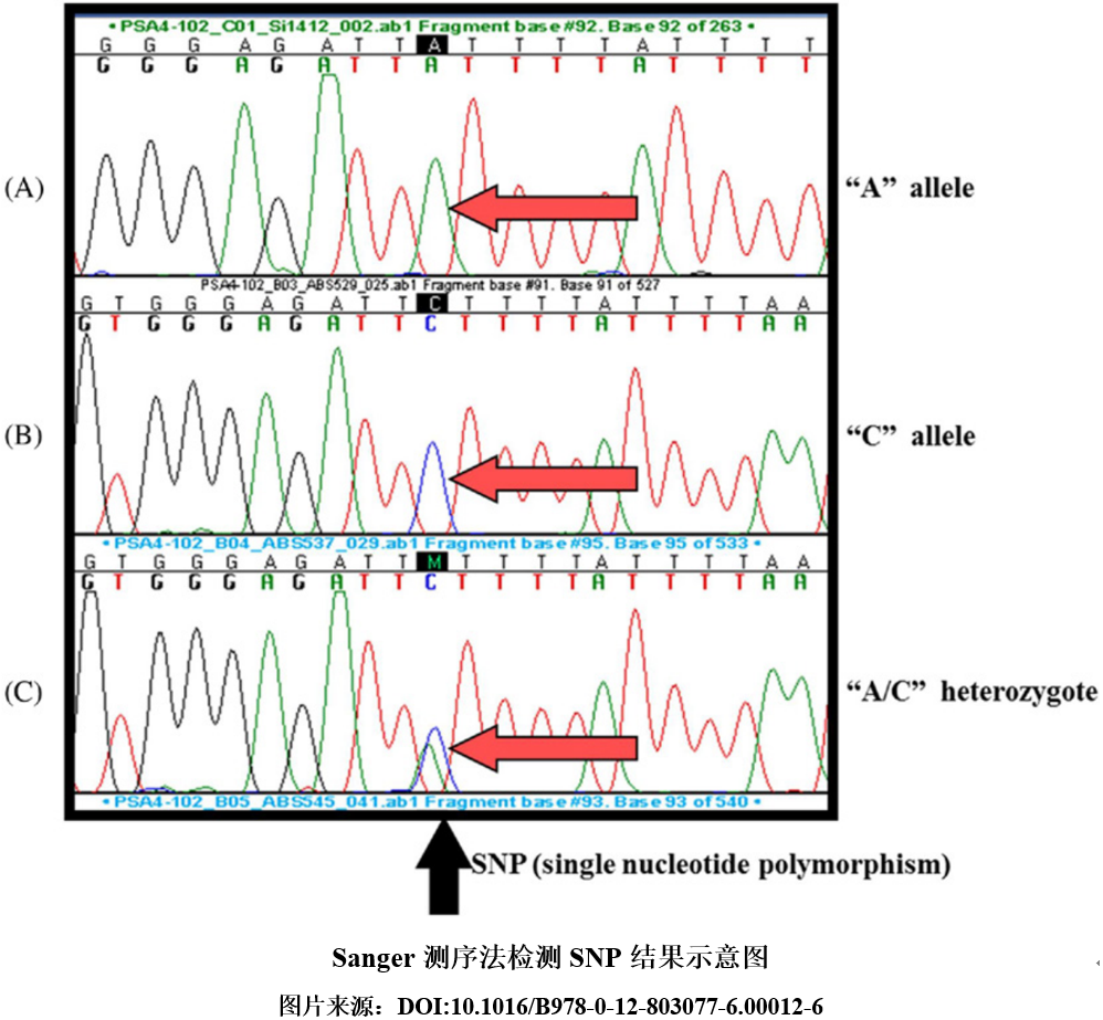 1717140110959996.png 1717140110959996.png