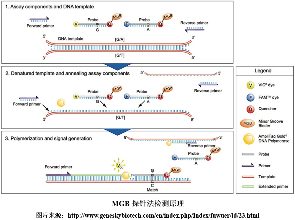 1717140131587392.png 1717140131587392.png