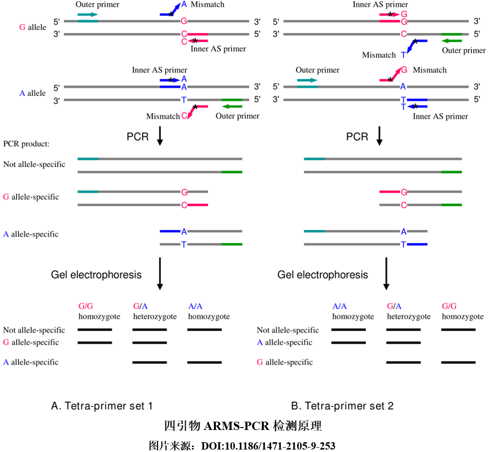 1717140227684349.png 4.png