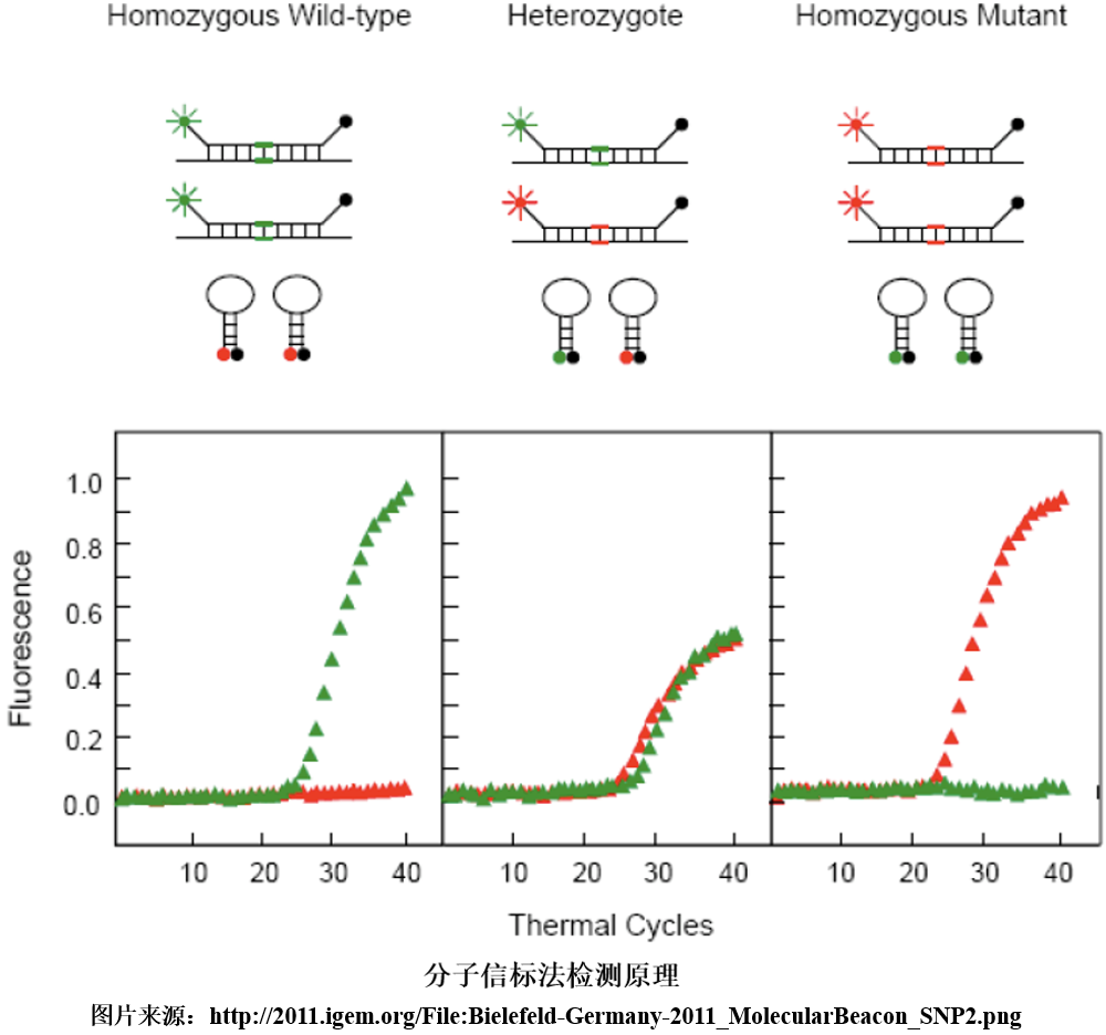 1717140243421353.png 5.png