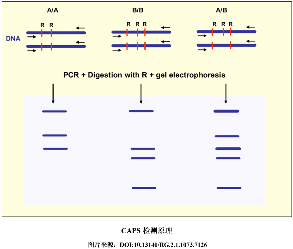 1717140265816640.png 7.png