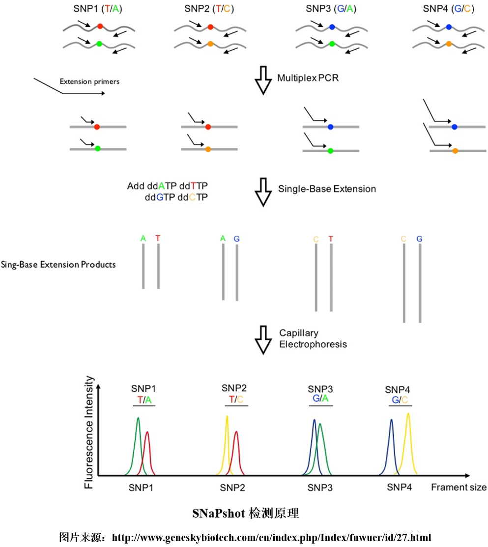 1717140276396321.png 8.png