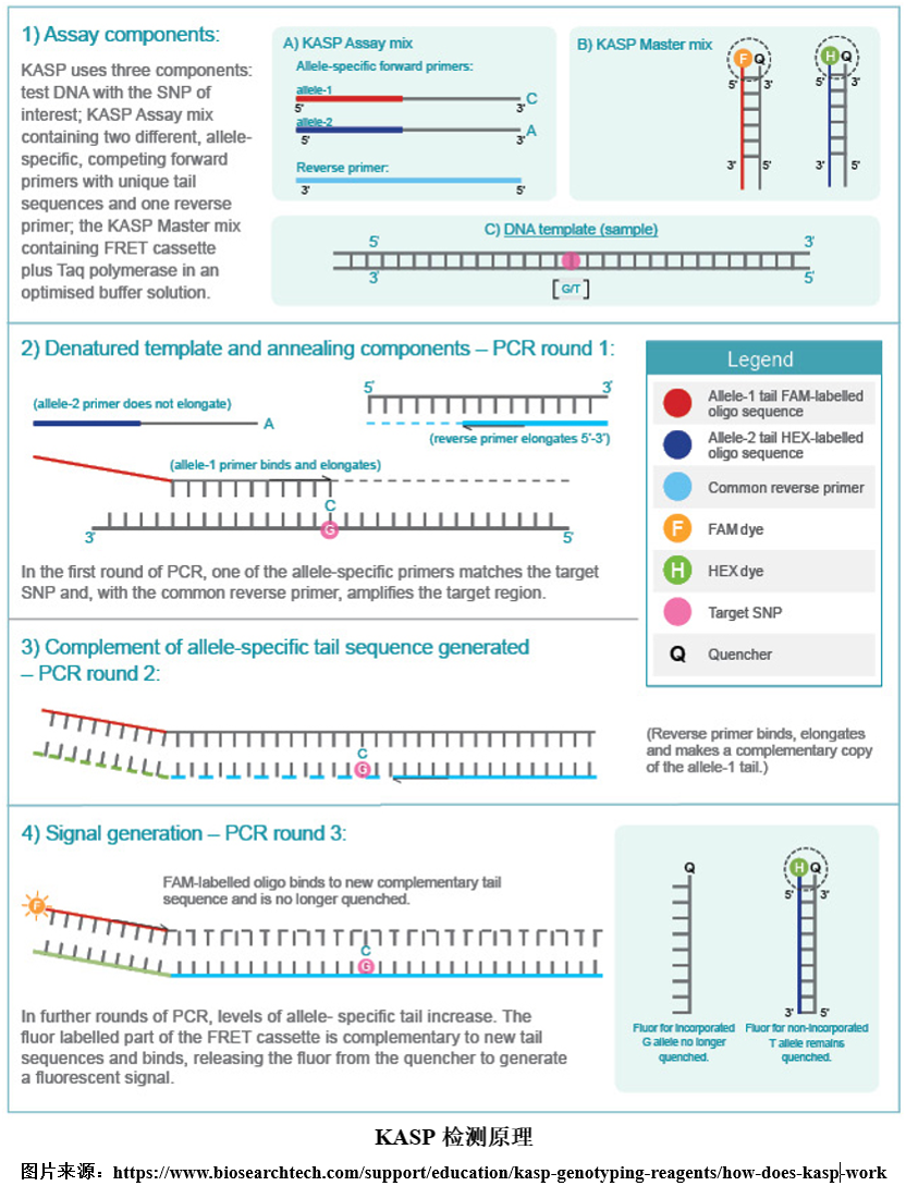 1717140289685704.png 9.png