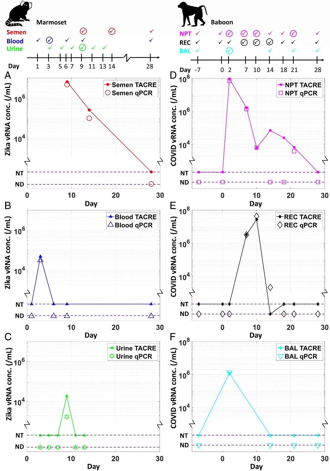 1717750526714178.jpg 5.jpg