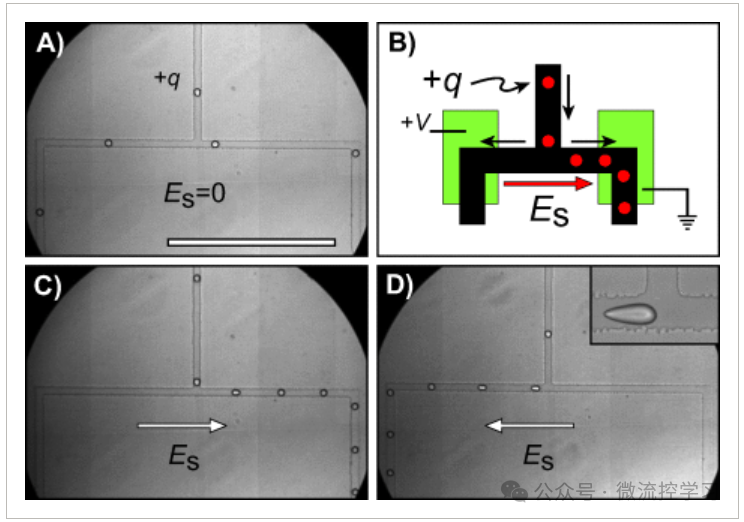 1721891497610182.png 2.png