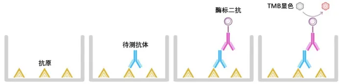 1729227867465305.jpeg 3.jpeg