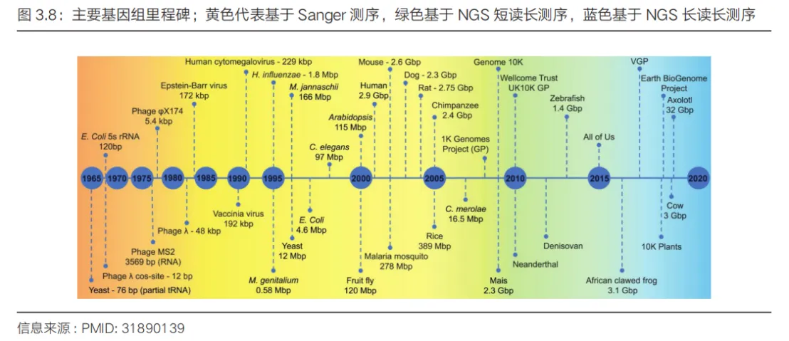 1736844462604180.jpg 5.jpg